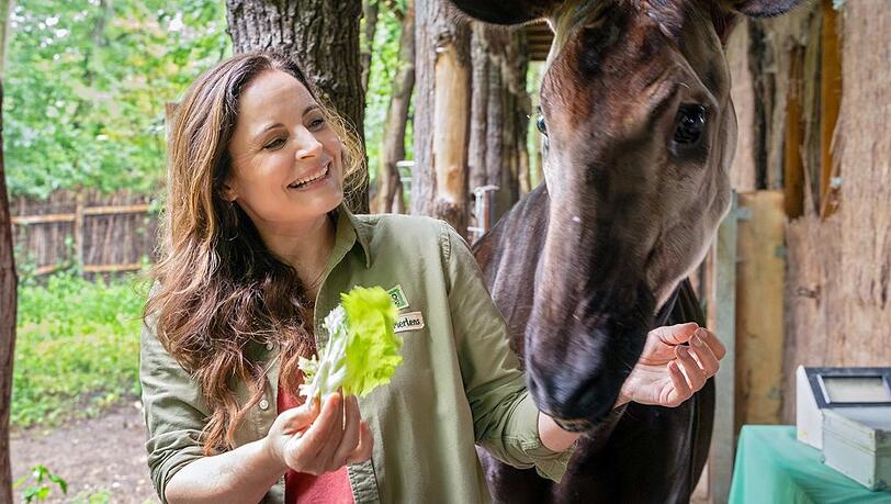 Elisabeth Lanz kehrt als "Tierärztin Dr. Mertens" zurück. Elisabeth Lanz kehrt als "Tierärztin Dr. Mertens" zurück.