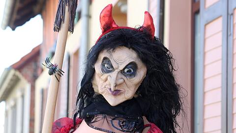 Einige St&auml;dte im Harz sind inzwischen geschm&uuml;ckt. (Archivbild)