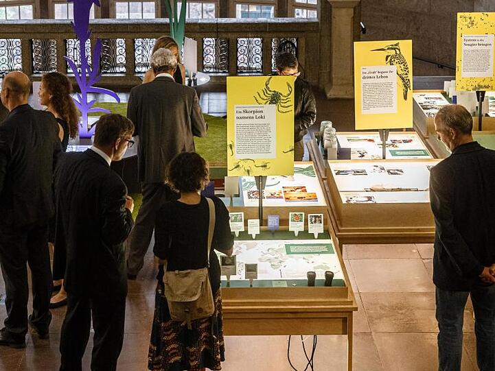 "Mit Loki in die Welt" - Blick in die Ausstellung im Museum für Hamburgische Geschichte.