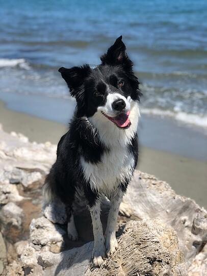 Macy