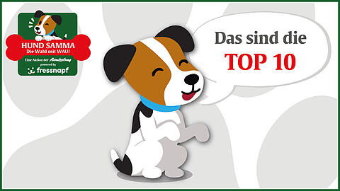 Über 1.900 Vierbeiner wurden von ihren Besitzern ins Rennen geschickt, diese zehn haben es ins Finale geschafft.