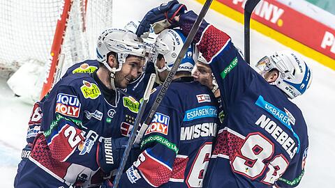 Auch die Eisbären Berlin erreichten das DEL-Finale.