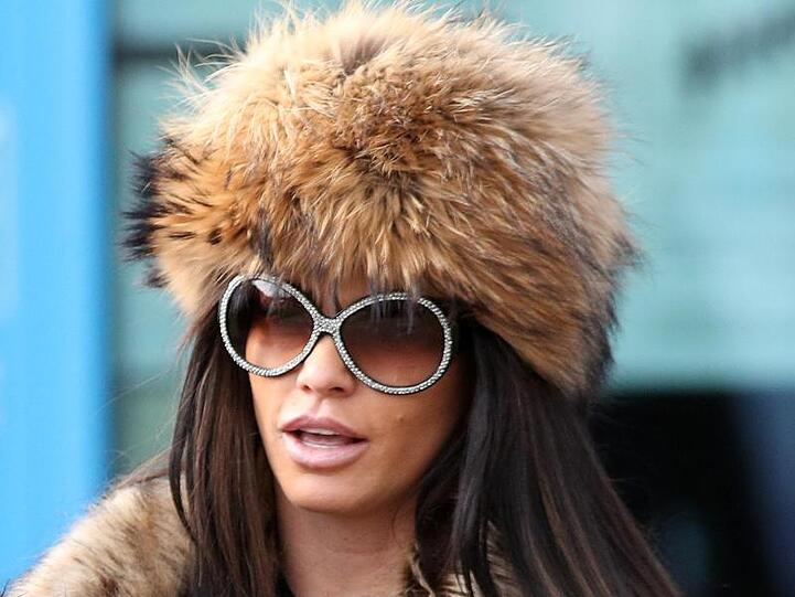 Katie Price hat ihre Schuld eingeräumt.
