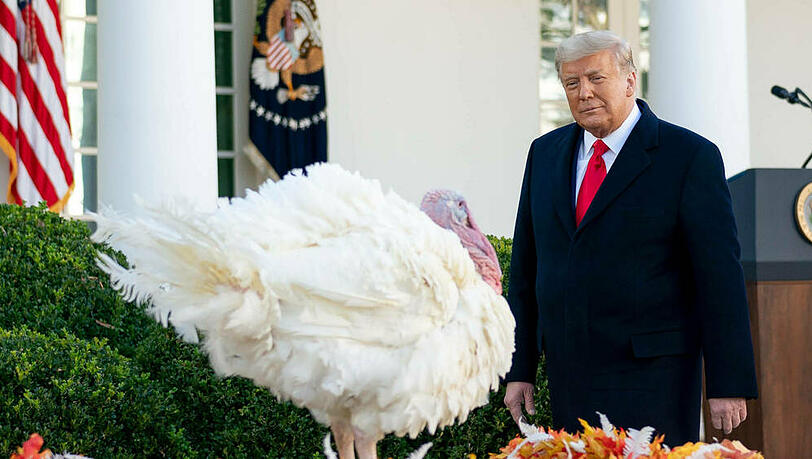 Donald Trump begnadigte auch 2020 Truthähne. Donald Trump begnadigte auch 2020 Truthähne.