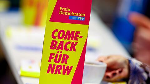 Die FDP k&auml;mpft um ihr politisches &Uuml;berleben.