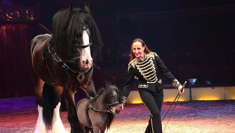 Zirkus-Chefin und Tierlehrerin Jana Lacey-Krone begeistert mit großen und kleinen Pferden.