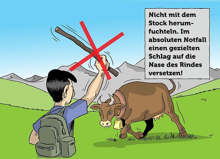 Zum Durchklicken: die Tipps aus dem Folder "Eine Alm ist kein Streichelzoo" der Tiroler Landwirtschaftskammer.