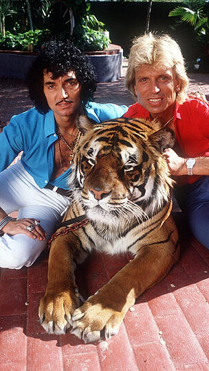 Die Anfänge: Roy Horn (l.) und Siegfried Fischbacher sitzen neben einem ihrer Tiger auf ihrem Anwesen in Las Vegas 1980.