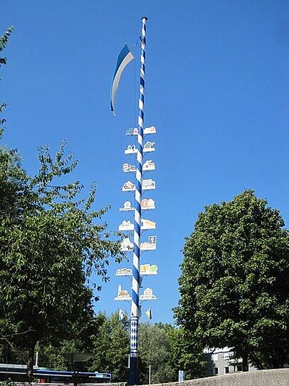 Im September 2013 wird der Maibaum auf dem Thalkirchner Platz gefällt. Ein Pilz hat ihn befallen.