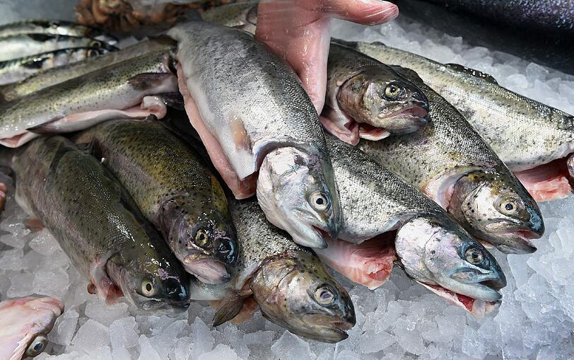 Frischer Fisch und frische Musik in der Glockenbachwerkstatt.