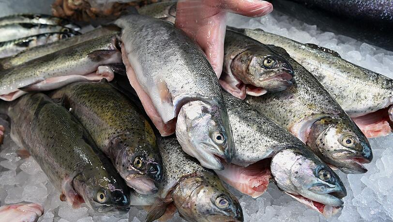 Frischer Fisch und frische Musik in der Glockenbachwerkstatt. Frischer Fisch und frische Musik in der Glockenbachwerkstatt.