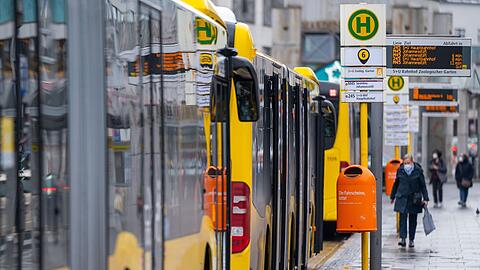 Busse der Berliner Verkehrsbetriebe (Symbolbild).