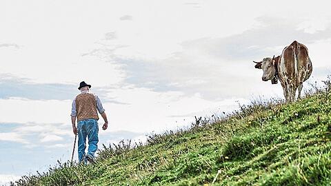So oft wie möglich ist auch Bergbauer Sepp Jackl mit auf der Alm. Ihm ist es wichtig, dass seine Tiere im Sommer auf dem Berg sind. So lernen sie, welche Kräuter gut für sie sind. Kühe nur im Stall zu halten findet er nicht richtig.
