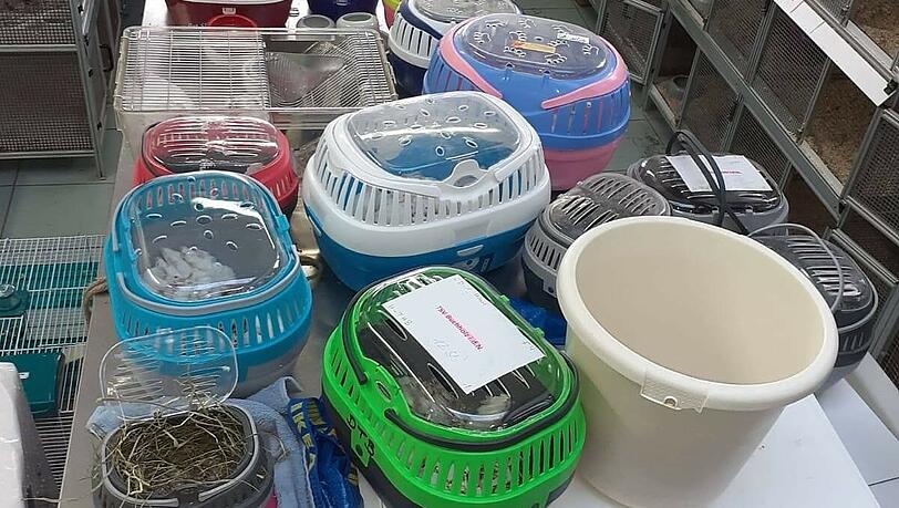 Zahlreiche Transportboxen waren nötig um die vielen Tiere zum Tierheim zu transportieren. Zahlreiche Transportboxen waren nötig um die vielen Tiere zum Tierheim zu transportieren.