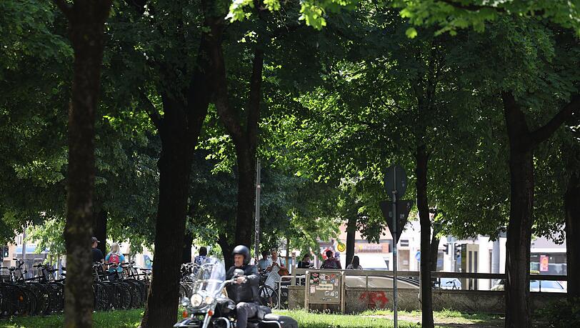 Hier der Blick auf den schönen, kleinen Park vom Altstadtring aus. Hier der Blick auf den schönen, kleinen Park vom Altstadtring aus.