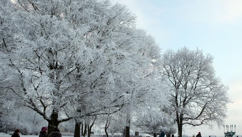 Ein Weihnachts-Spaziergang im Schnee: wohl überall in Deutschland möglich. Ein Weihnachts-Spaziergang im Schnee: wohl überall in Deutschland möglich.