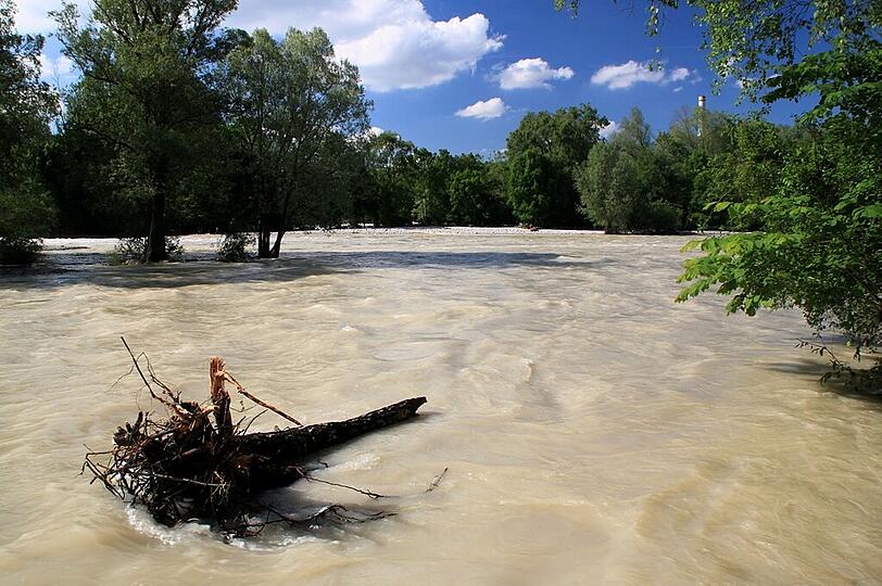 Wasser marsch: Bilder von der Isar am Flaucher.