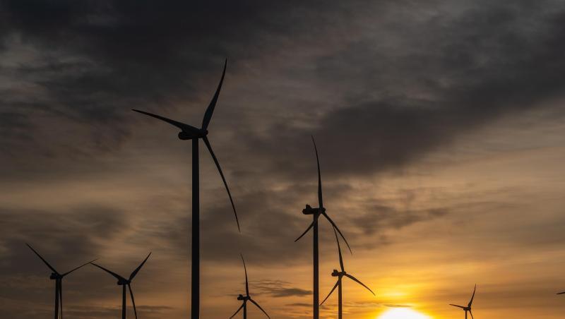 Größter Ökostromlieferant waren Windräder an Land mit fast 43 Milliarden Kilowattstunden. Größter Ökostromlieferant waren Windräder an Land mit fast 43 Milliarden Kilowattstunden.
