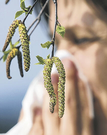 Die Winter werden immer milder, die Frühblüher blühen immer früher und die Allergiker leiden noch mehr.Foto: dpa