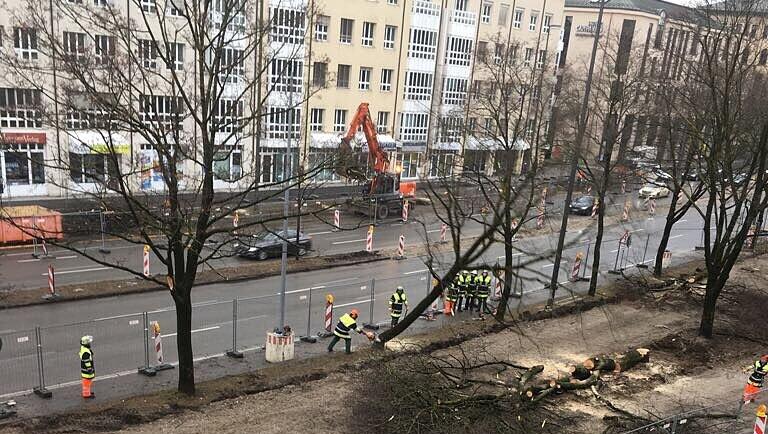 Auf diesen Bildern ist die Rodung bereits vorbei. Auf diesen Bildern ist die Rodung bereits vorbei.