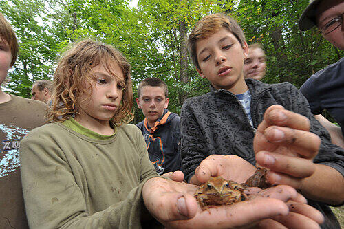 Auch für ihn haben die Schüler vier Tage lang geschleppt: Fünftklässler präsentieren einen Grasfrosch, der am Bach lebt.