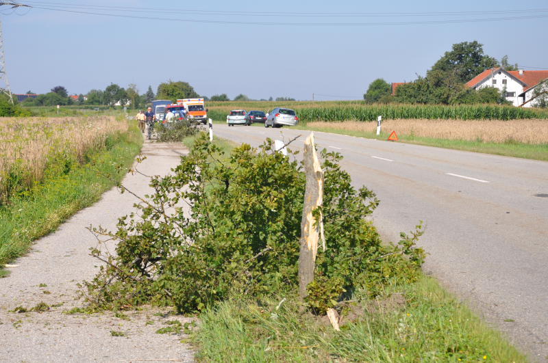 Auf dem gegenüberliegenden Grünstreifen würde der Fahrer von drei Jungbäumen gebremst.
