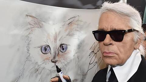 Der Modedesigner Karl Lagerfeld steht 2015 bei der Vernissage "Corsa Karl und Choupette" für seinen Fotokalender im Palazzo Italia an einer Zeichnung seiner Katze.