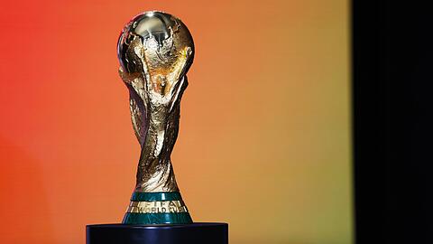 Diese Troph&auml;e ist f&uuml;r den k&uuml;nftigen Fu&szlig;ball-Weltmeister.