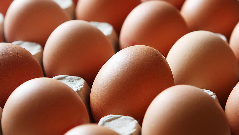 Fipronilverseuchte Eier - wer hat was wann gewusst? Fipronilverseuchte Eier - wer hat was wann gewusst?