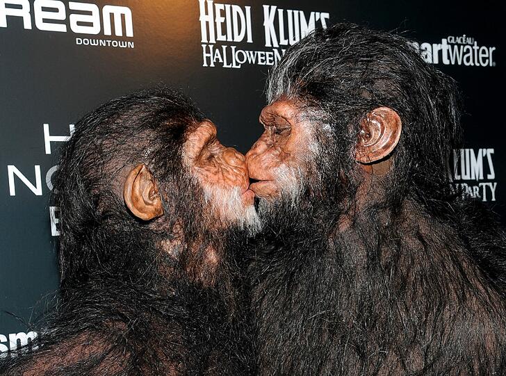 ...sondern Heidi Klum nebst Ehemann persönlich: Das Ehepaar Klum-Seal küsst sich - ganz menschlich - im Affenkostüm an Halloween.