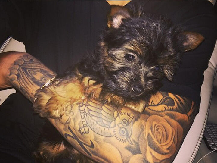 Esther in Biebers Arm
