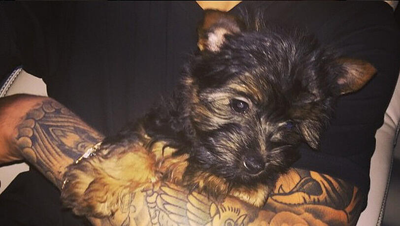 Esther in Biebers Arm Esther in Biebers Arm