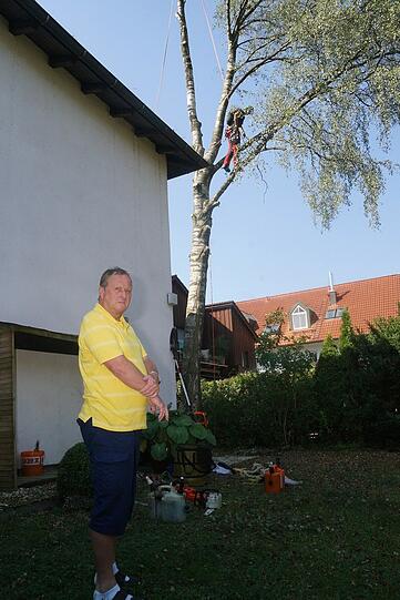 Hier verschwinden 33 private Gärten: Bilder von der Abholzaktion in Waldperlach.