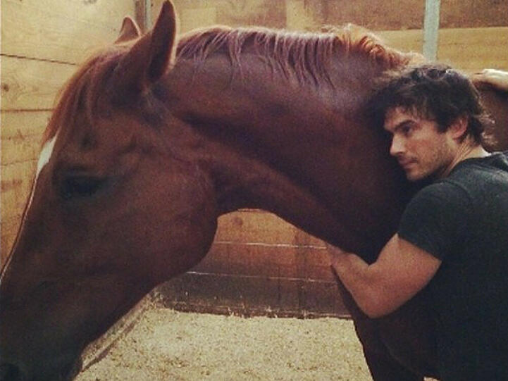 Ian Somerhalder mit seinem Pferd "Eagle"