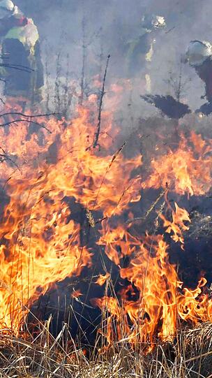...Spaziergänger hatten die Flammen bemerkt. Die Feuerwehr konnte die Brände löschen.