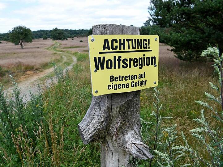 "Achtung Wolfsregion, Betreten auf eigene Gefahr": Hinweistafel am Rand der Timmerloher Heide in der Nähe von Soltau direkt an der Bundesautobahn 7.