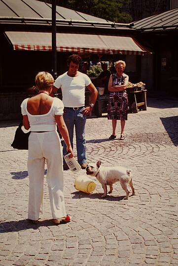 Der Mops, der am Viktualienmarkt mit dem Eimer spielt, hatte nicht nur die Aufmerksamkeit von AZ-Leser Hans-Albrecht Bock. Auch Passanten amüsieren sich (1976).