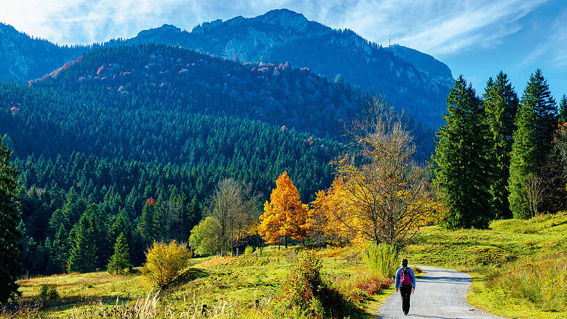 Auf dem Weg zur Wirtsalm kann man tolle Ausblicke genießen.