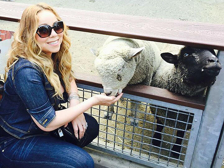 Mariah Carey beim Füttern von Schafen