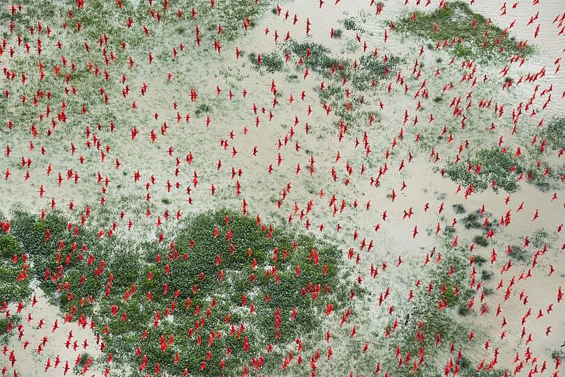 "Amazon: Paradise Threatened" von Daniel Beltrá.