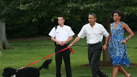 Bevor H&uuml;ndin Sunny zu den Obamas kam, geh&ouml;rte auch schon Hund Bo zur Familie. (Archivbild)