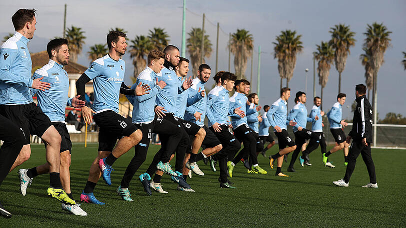 Die Löwen während einer Trainingseinheit im spanischen Oliva Nova.