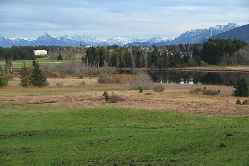 Im Allgäu werden vielerorts Moortouren angeboten &ndash; die Landschaft am Nordrand der Alpen ist ein einzigartiger Lebensraum.
