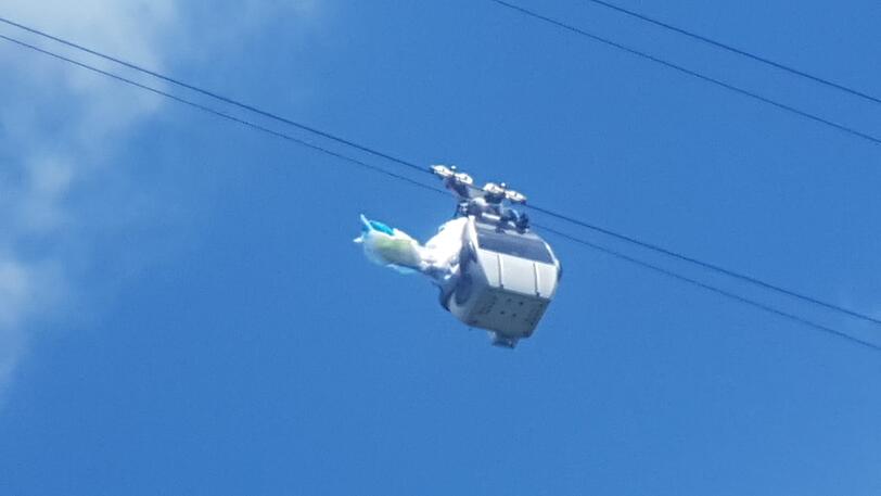 Der Gleitschirmflieger konnte von der Bergwacht gerettet werden.