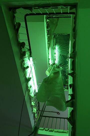 Im Treppenhaus brennen momentan grüne Neon-Lampen. Bevor das Dienstgebäude eröffnet, werden die Lampen ausgetauscht.