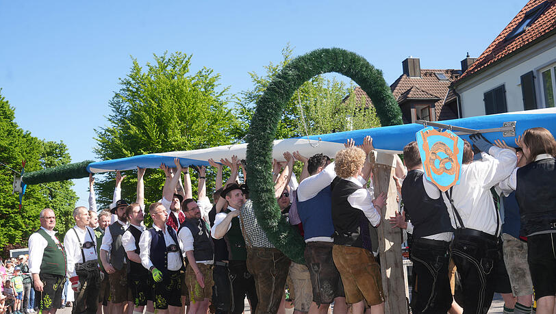 "Heeb an" heißt es am Donnerstag in Pasing. Männer des Kultur- und Heimatpflegeverein D’Pasinger stellen den 25 Meter langen Maibaum auf.
