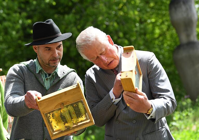 Prinz Charles lässt sich von Imker Alen Bacic die Bienen zeigen.