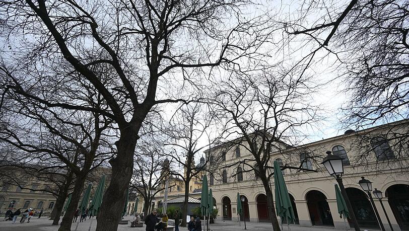 Erst bleibt es tr&uuml;b &ndash; aber Besserung ist in Sicht. (Archivbild)