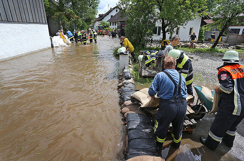 Weitere Bilder aus Polling