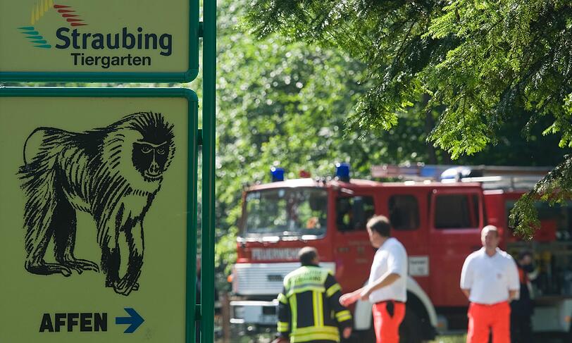 Die Einsatzkräfte konnten die Schimpansen "Lutz" und "Alfons" zwar retten.